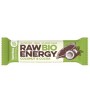 Baton RAW ENERGY kokos-kakao bezglutenowy BIO - bombus 50 g