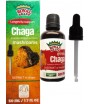 Ekstrakt z grzybów CHAGA - ROYAL BRAND 50 ml