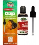 Ekstrakt z grzybów CHAGA - ROYAL BRAND 50 ml