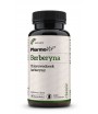 BERBERYNA (388 mg) bezglutenowa - PHARMOVIT 60 kapsułek