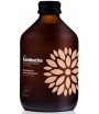 Kombucha z Brzoskwinią i Trwą cytrynową bezglutenowa BIO - VIGO 330 ml