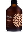 Kombucha z Brzoskwinią i Trwą cytrynową bezglutenowa BIO - VIGO 330 ml