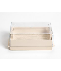 Naczynie do kiełkowania prostokątne - URBALIVE