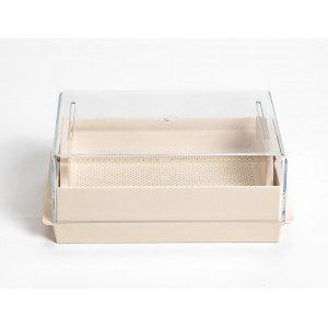 Naczynie do kiełkowania prostokątne - URBALIVE