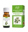 Olejek eteryczny - Werbena Egzotyczna MAY CHANG - Etja 10 ml