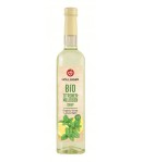 Syrop o smaku Cytryny z Melisą BIO - Hollinger 500 ml