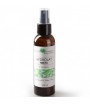 Woda miętowa - Beaute Marrakech 125 ml