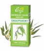 Olejek eteryczny - Eukaliptusowy - Etja 10 ml