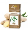 Olejek eteryczny - Imbirowy - Etja 10 ml