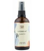 Hydrolat Bławatek - Nature Queen 100 ml