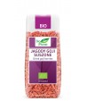 Jagody Goji suszone BIO - Bio Planet 100 g