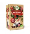 Różana herbatka ekologiczna (15x3g) BIO - Dary Natury 45 g
