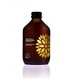 Kombucha z yerbą mate bezglutenowa BIO - VIGO 330 ml
