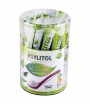 Ksylitol w saszetkach - Santini 200 g (40x5g)